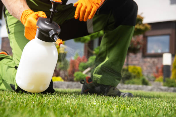 Best Flea Control Services  in Wisr, NE
