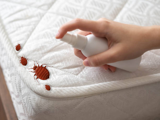 Pest Control Cost in Wisner, NE