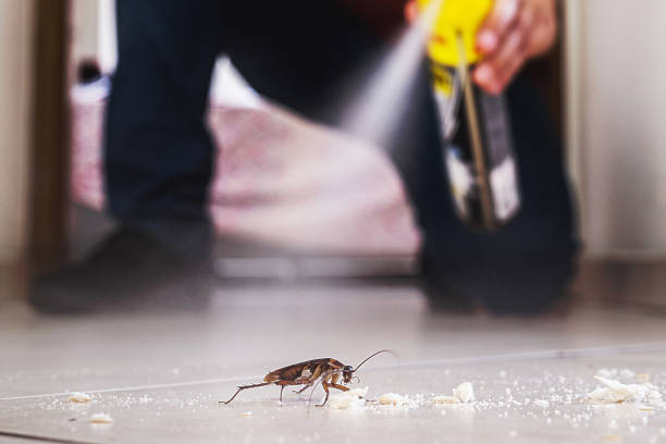 Best Local Pest Control Services  in Wisr, NE