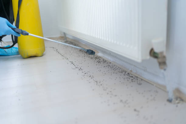 Best Mosquito Control Services  in Wisr, NE