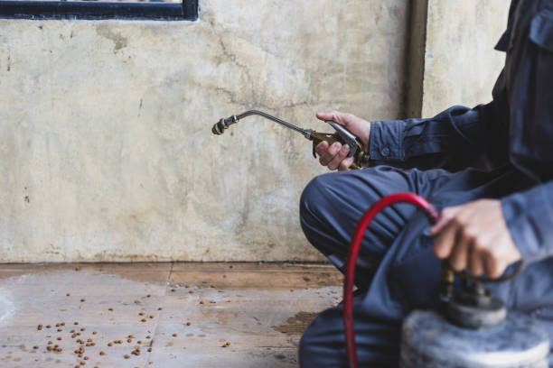 Best Termite Control Services  in Wisr, NE