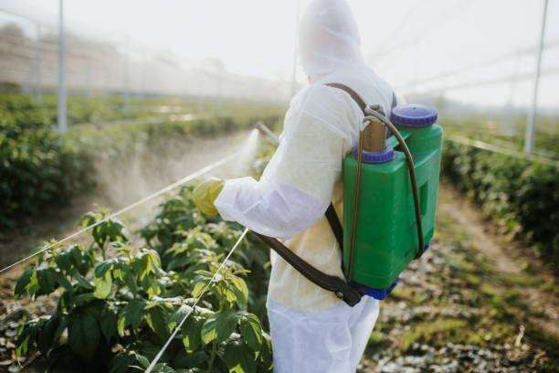 Trusted Wisner, NE Pest Control Experts